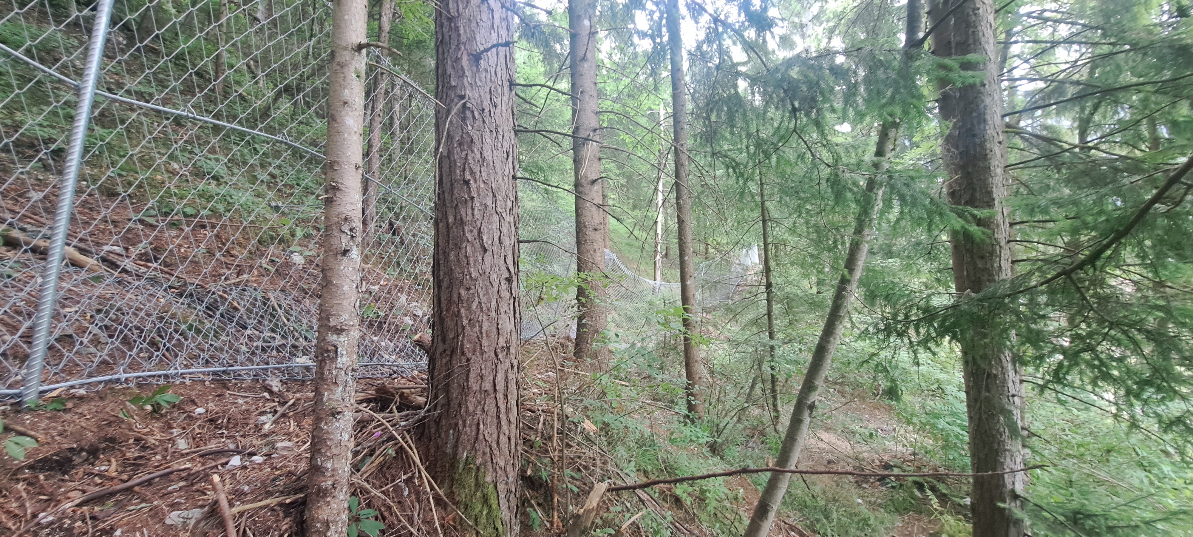 Palisada pod Grančiščem v Mojstrani_1